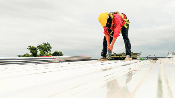 Best Skylight Installation and Repair  in Somersworth, NH